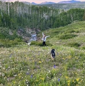 Meet your Posher, Ashley